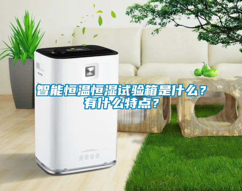 智能恒温恒湿试验箱是什么？有什么特点？