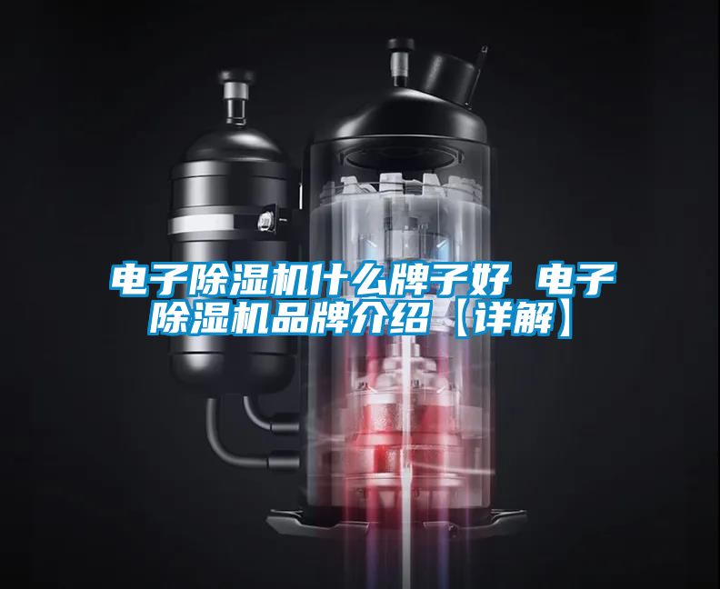 电子除湿机什么牌子好 电子除湿机旭彩网【详解】