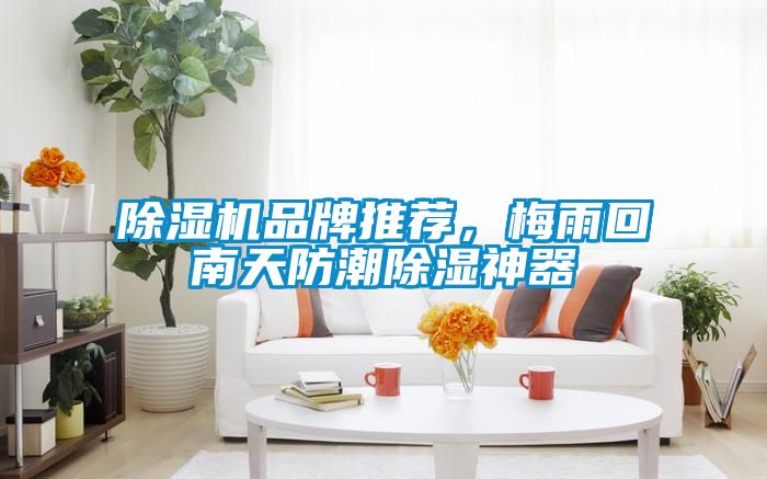 除湿机品牌推荐，梅雨回南天防潮除湿神器