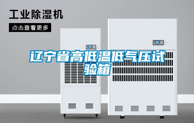 辽宁省高低温低气压试验箱