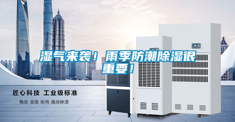 湿气来袭！雨季防潮除湿很重要！
