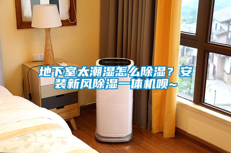 地下室太潮湿怎么除湿？安装新风除湿一体机呗~